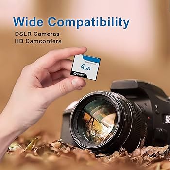 Amazon.com: Ricoh RDC-i500 Digital Camera Memory Card 4GB